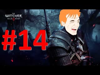 the witcher 3: wild hunt / 14